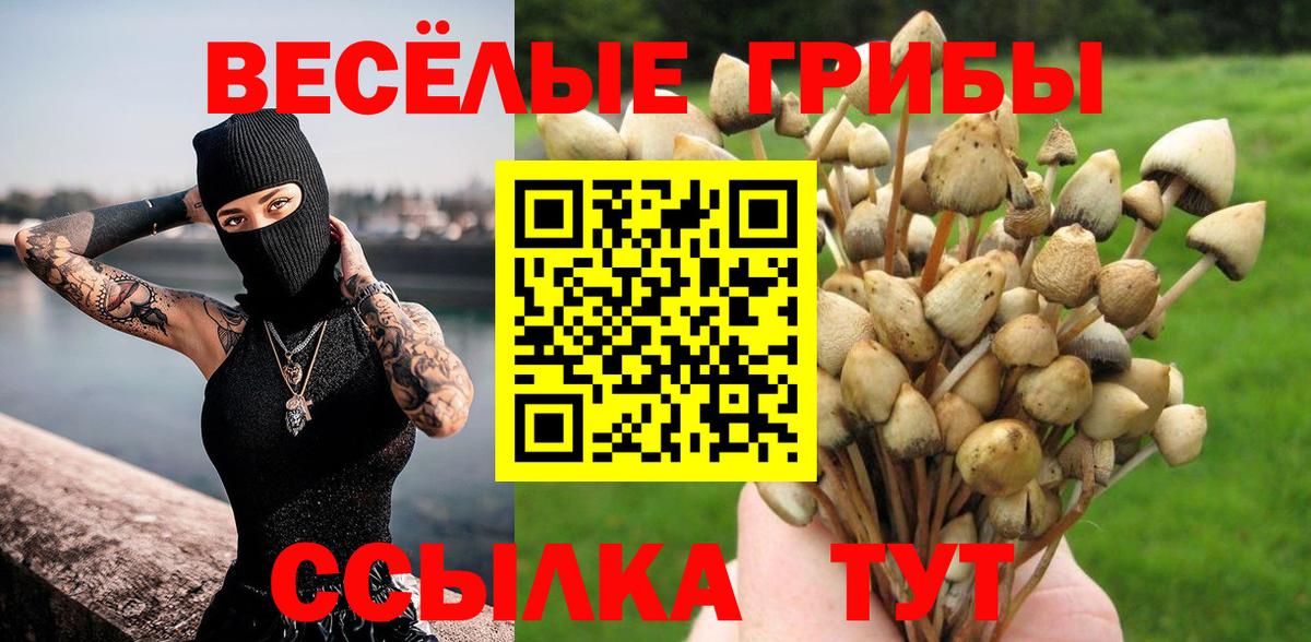 Сызрань  Галлюциногенные грибы мицелий  Псилоцибиновые грибы Psilocybe  Вход с VPN 